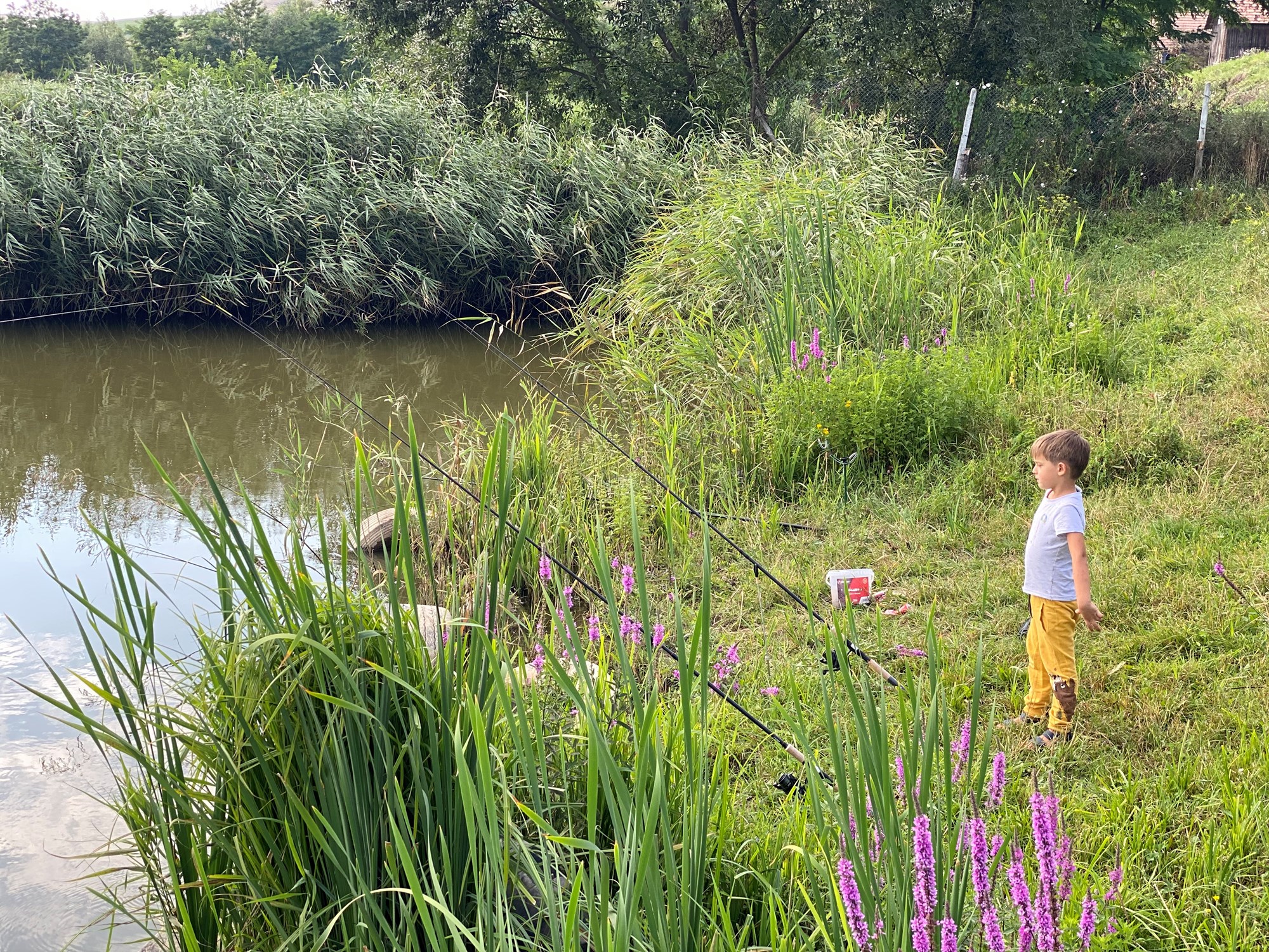 Zaganu 1 - 8 aug. - F305D60F3FC6438D8B14AEFD33CD3019.jpg